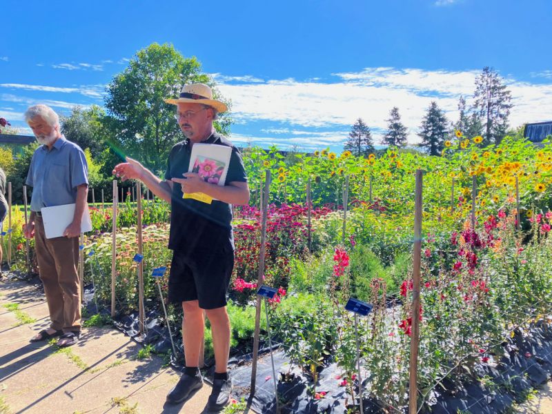 15 burri christian sonnenblumen 15 burri christian sonnenblumen