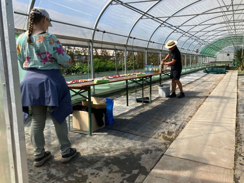 17 burri apero einrichten 17 burri apero einrichten