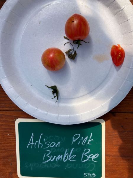 20 artisan pink bumble bee 20 artisan pink bumble bee