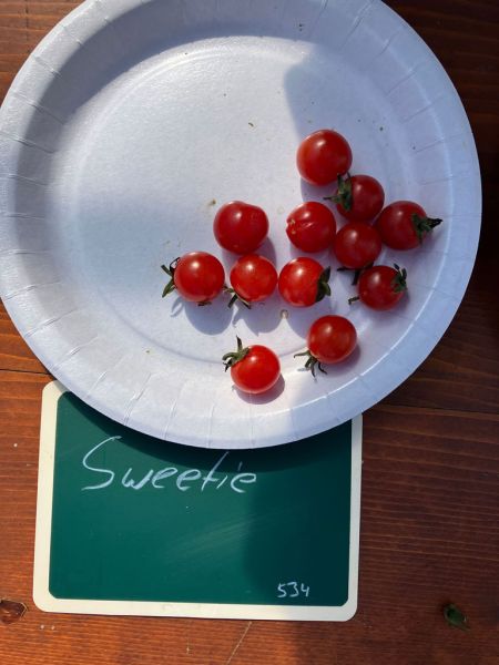 22 sweetie 22 sweetie