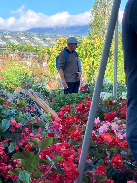 7 martin begonien 7 martin begonien